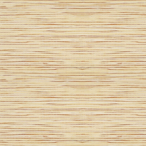 Сафари 033